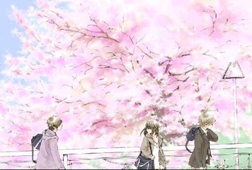 张津渝